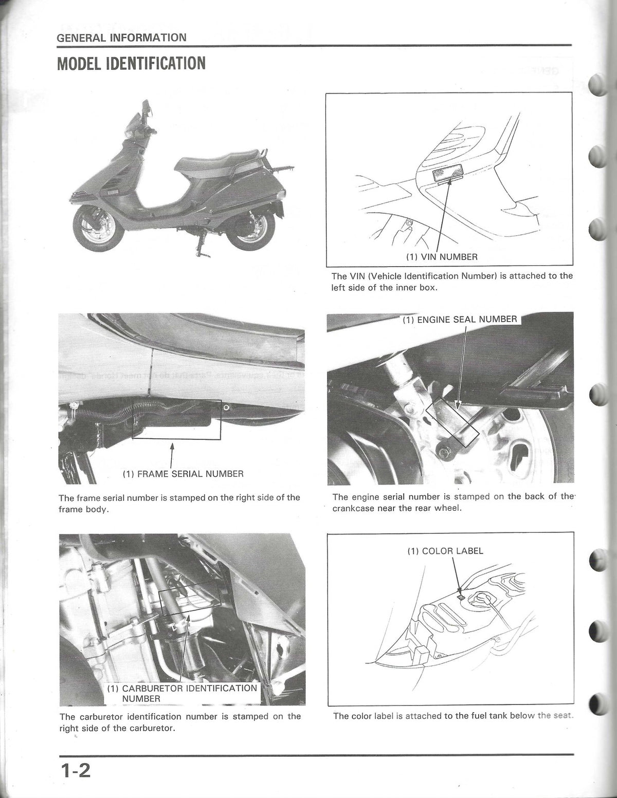 HONDA CH150 Elite 150 Scooter Service Manual 1986 - WIRE BOUND - TOUGH COVERS