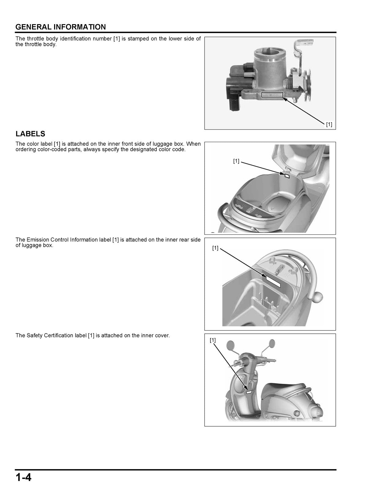 HONDA Giorno NCW50 Scooter Shop Manual - BOUND - COVERS - XL FOLDOUT PAGES