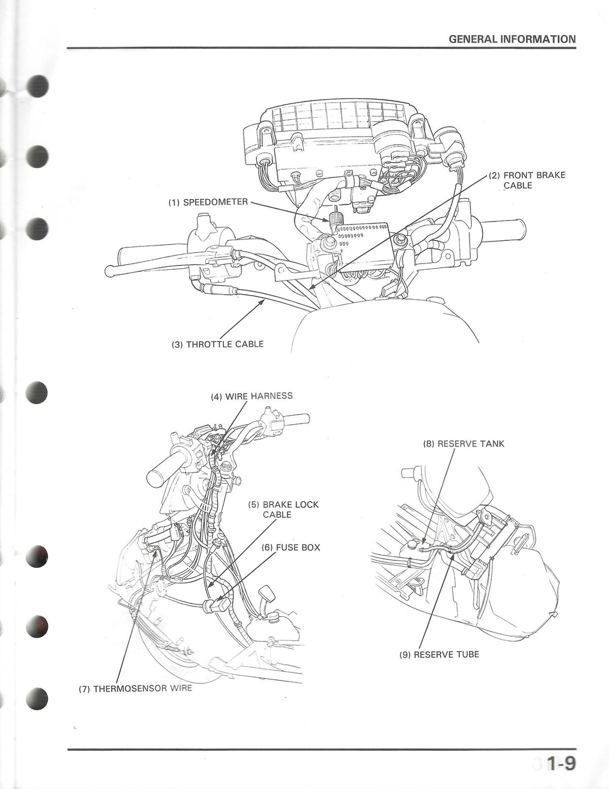 HONDA CH150 Elite 150 Scooter Service Manual 1986 - WIRE BOUND - TOUGH COVERS