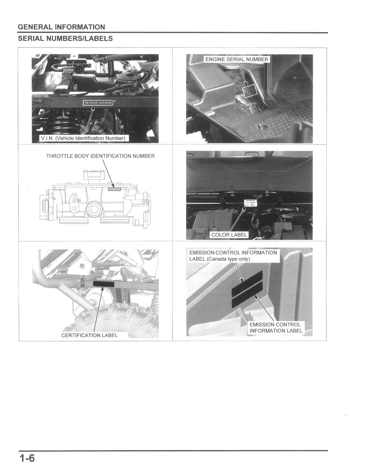 HONDA 1000 Service Manual 2022-2024 - BOUND - COVERS - XL FOLDOUT PAGES