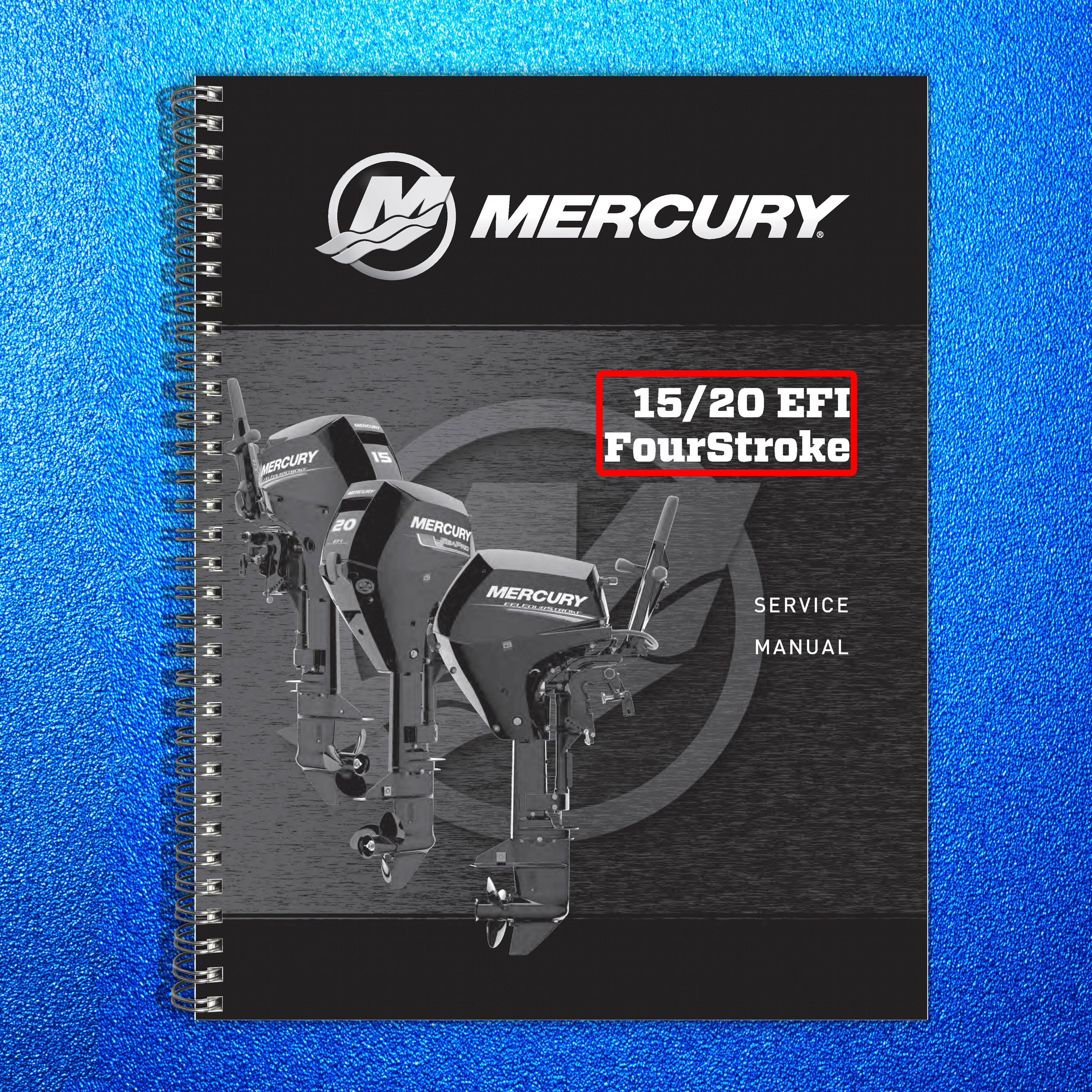 MERCURY MARINE 15 20 EFI FourStroke Outboard Service Manual 2018, FOLDOUTS